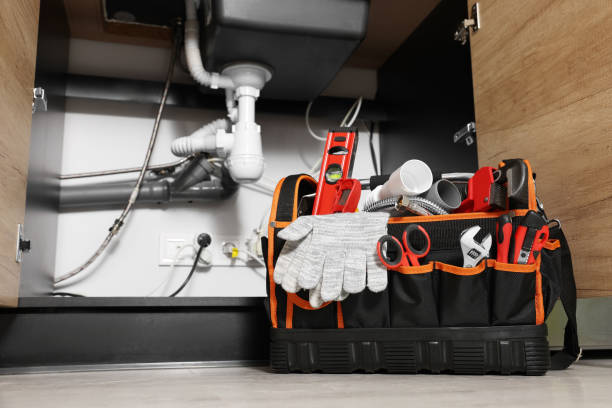 Best Plumbing Inspection Services  in Waverly, IL